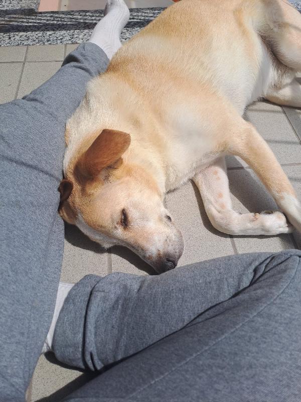 CHARLIE Foto 5